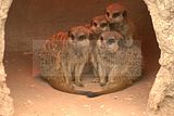 leipzig zoo-01_07_2011_zoo_allgemein_315